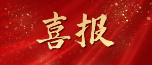 喜讯连连捷报传 佳绩频频荣誉添